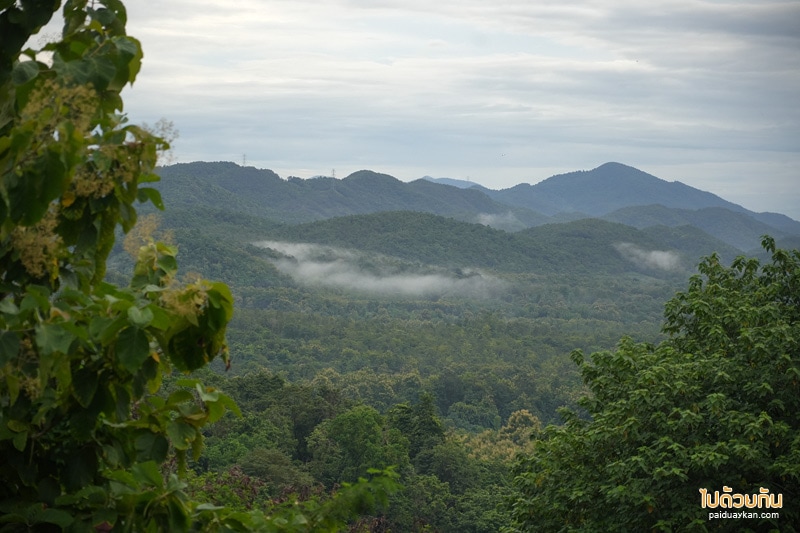 ดอยเคียงเดือน, ที่พักแพร่, ดอยเคียงเดือน แพร่  พักบ้านไม้แสนอบอุ่น เคียงเขาป่าเขียว