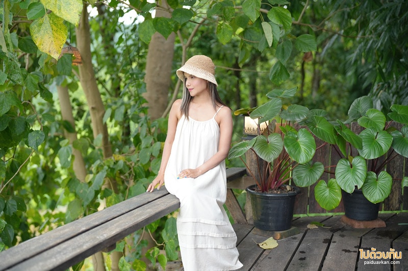 ดอยเคียงเดือน, ที่พักแพร่, ดอยเคียงเดือน แพร่  พักบ้านไม้แสนอบอุ่น เคียงเขาป่าเขียว