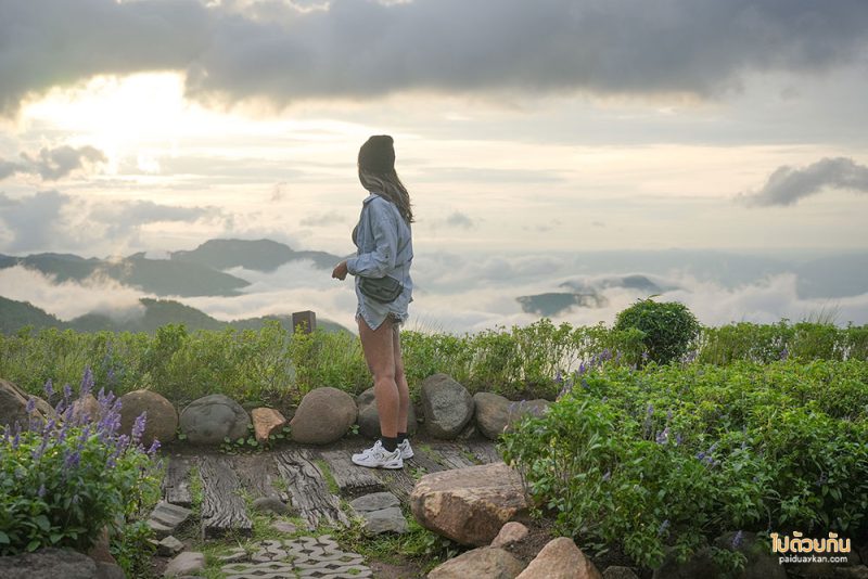 พีโน่ ลาเต้ รีสอร์ท, ร้านกาแฟวิวสวย เขาค้อ, pino latte resort & café, ร้านกาแฟเขาค้อ, pino latte cafe ชมทะเลหมอก วิวพระธาตุผาซ่อนแก้ว