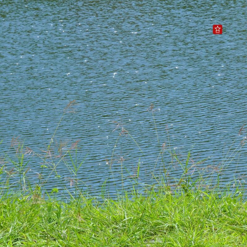 onedaytrip, ลานควายยิ้ม, อ่างเก็บน้ำกาแล, อ่างเก็บน้ำเชียงใหม่, อ่างเก็บน้ำแม่เหียะ, อ่างแก้ว มช., เดินเที่ยว, เดินเที่ยวเชียงใหม่, เที่ยวเชียงใหม่, เที่ยวเชียงใหม่หน้าฝน, เแลนด์มาร์ค, แลนด์มาร์คเชียงใหม่, เดินเที่ยว เล่น 3 อ่าง ในย่านเดียวที่เชียงใหม่!