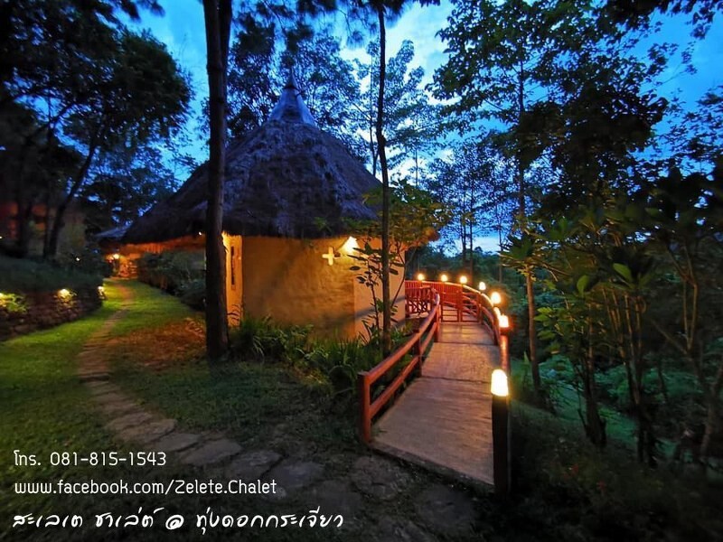 top 10+ ที่พักชัยภูมิ 2567 ราคาถูก ในเมือง ทุ่งดอกกระเจียว