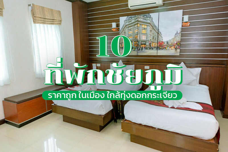 top 10+ ที่พักชัยภูมิ 2567 ราคาถูก ในเมือง ทุ่งดอกกระเจียว