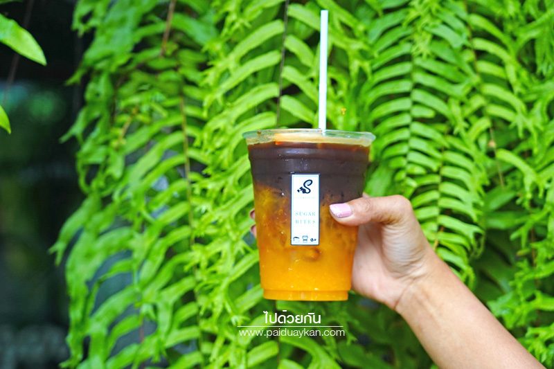 เที่ยวแพร่, คาเฟ่แพร่, ร้านกาแฟแพร่, top 20+ คาเฟ่แพร่ เมืองล้านนาชิค จิบกาแฟ เติมพลัง แชะรูปสวย บอกต่อความประทับใจ