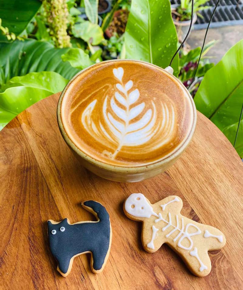 เที่ยวแพร่, คาเฟ่แพร่, ร้านกาแฟแพร่, top 20+ คาเฟ่แพร่ เมืองล้านนาชิค จิบกาแฟ เติมพลัง แชะรูปสวย บอกต่อความประทับใจ