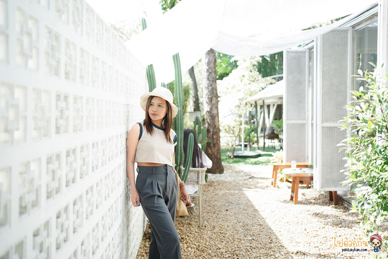 คาเฟ่ราชพฤกษ์, come escape cafe ราชพฤกษ์, come escape cafe ราชพฤกษ์