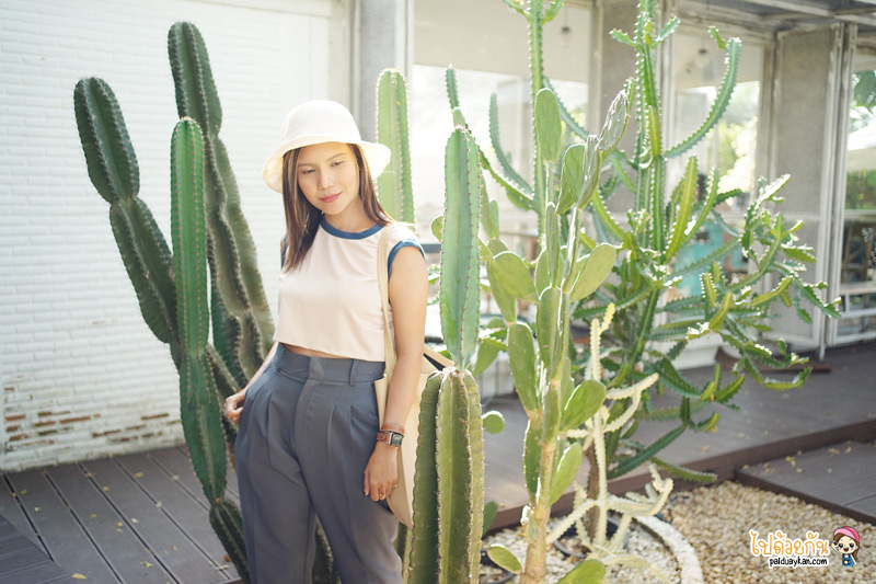 คาเฟ่ราชพฤกษ์, come escape cafe ราชพฤกษ์, come escape cafe ราชพฤกษ์