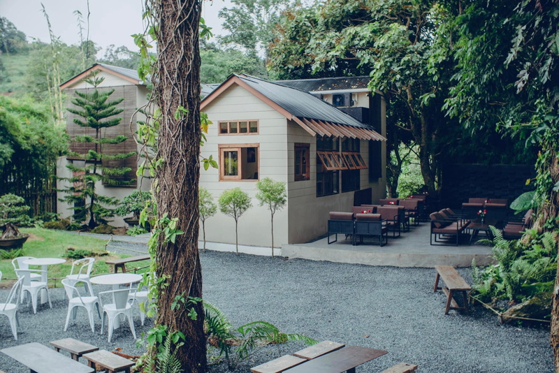 top 10+ คาเฟ่เชียงใหม่ 2024 คาเฟ่ในเมือง บรรยากาศดี ใกล้ชิดธรรมชาติ ถ่ายรูปสวย