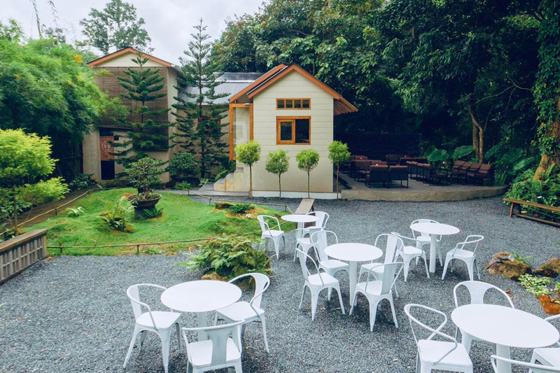 top 10+ คาเฟ่เชียงใหม่ 2024 คาเฟ่ในเมือง บรรยากาศดี ใกล้ชิดธรรมชาติ ถ่ายรูปสวย