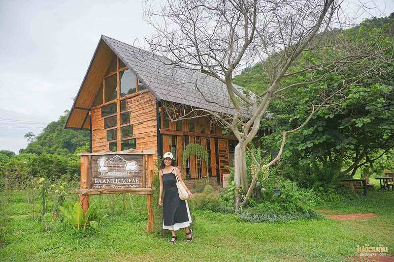 เที่ยวเขาใหญ่, คาเฟ่เขาใหญ่, เขาใหญ่, baan khao fae, บ้านข้าวแฝ่, baan khao fae บ้านข้าวแฝ่ คาเฟ่กลางสวนมะม่วง สูดอากาศบริสุทธิ์ ชมวิวขุนเขา