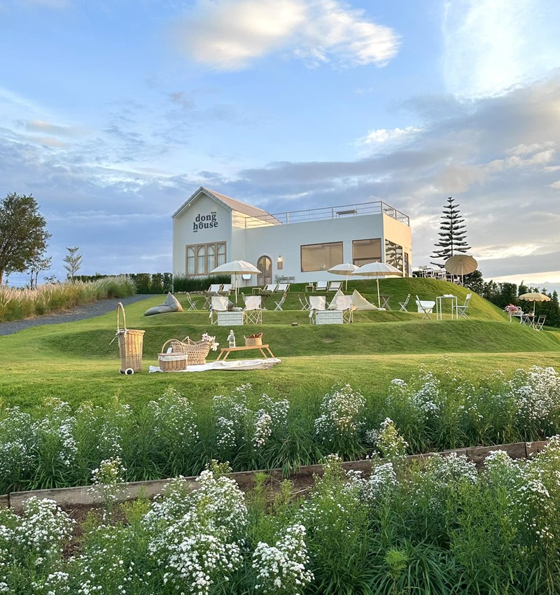 เขาใหญ่, top 15+ คาเฟ่เขาใหญ่ 2567 คาเฟ่เปิดใหม่เขาใหญ่ บรรยากาศดี ใกล้ชิดธรรมชาติ ถ่ายรูปสวย