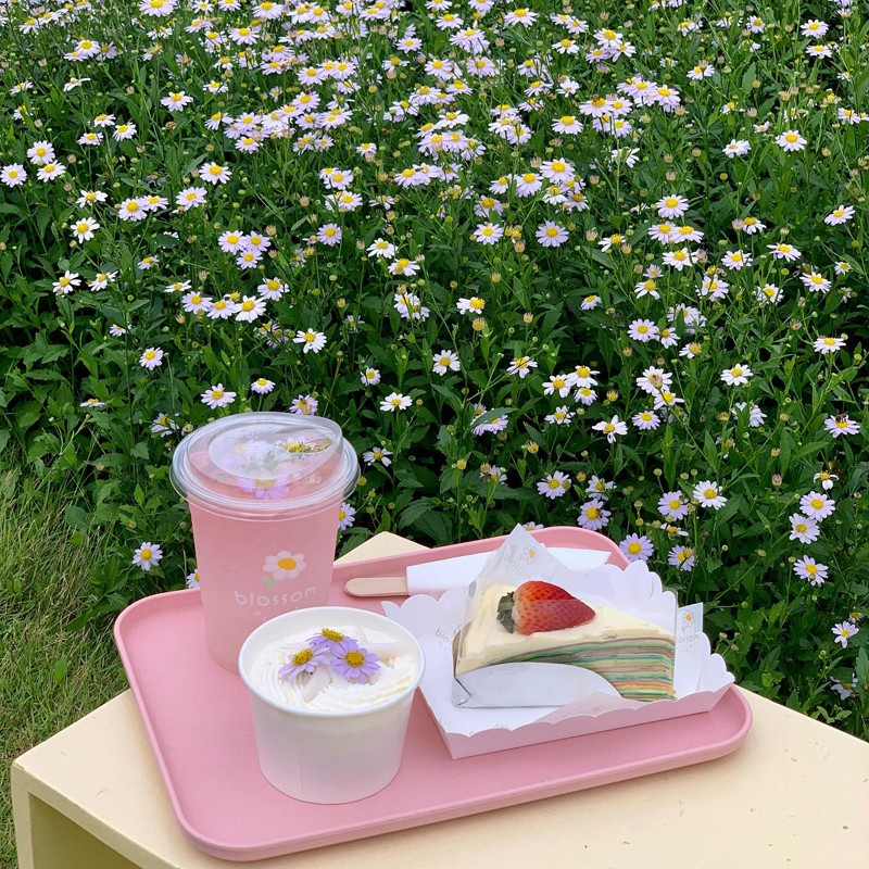 เขาใหญ่, top 15+ คาเฟ่เขาใหญ่ 2567 คาเฟ่เปิดใหม่เขาใหญ่ บรรยากาศดี ใกล้ชิดธรรมชาติ ถ่ายรูปสวย