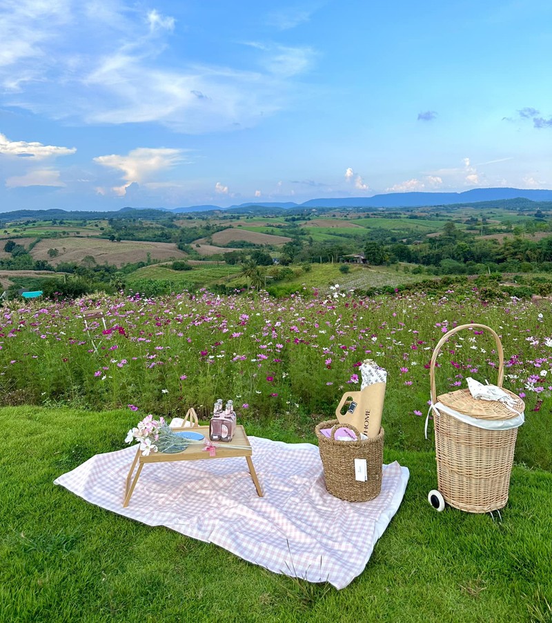 เขาใหญ่, top 15+ คาเฟ่เขาใหญ่ 2567 คาเฟ่เปิดใหม่เขาใหญ่ บรรยากาศดี ใกล้ชิดธรรมชาติ ถ่ายรูปสวย