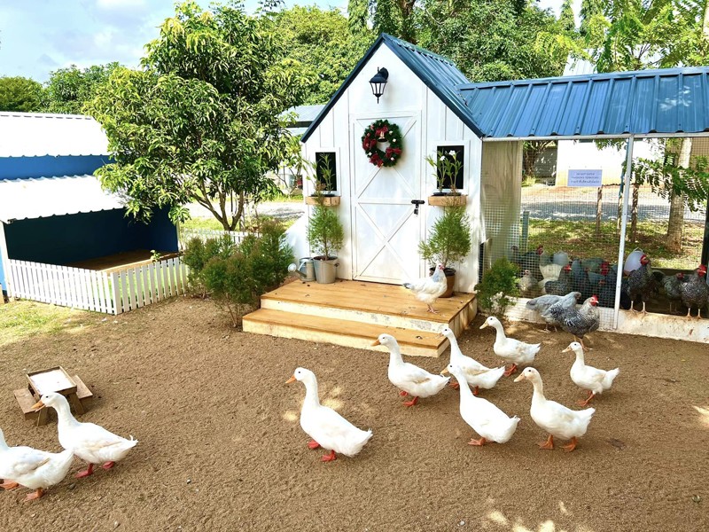 เขาใหญ่, top 15+ คาเฟ่เขาใหญ่ 2567 คาเฟ่เปิดใหม่เขาใหญ่ บรรยากาศดี ใกล้ชิดธรรมชาติ ถ่ายรูปสวย