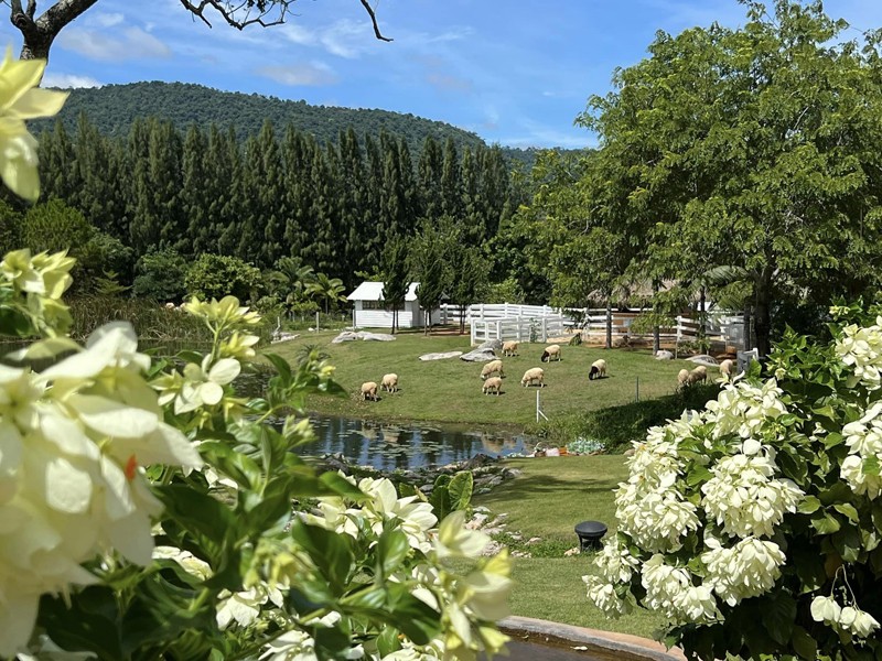 เขาใหญ่, top 15+ คาเฟ่เขาใหญ่ 2567 คาเฟ่เปิดใหม่เขาใหญ่ บรรยากาศดี ใกล้ชิดธรรมชาติ ถ่ายรูปสวย