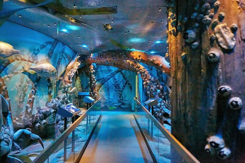 amorino gelato, buckingham palace, bun from home, changing the guard, cinnamon bun, elizabeth tower, england, harry potter, leadenhall market, london eye, natural history museum, palace of westminster, sky garden, spider-man, studio tour london, the shard, tower bridge, warner bros, wright brothers, ขนมปังลอนดอน, ชิงช้าสวรรค์ลอนดอน, ตลาดลอนดอน, ตึกที่สูงสุดในเมืองลอนดอน, ทาวเวอร์บริดจ์, พระราชวังบัคคิงแฮม, พระราชวังเวสต์มินสเตอร์, พิพิธภัณฑ์ประวัติศาสตร์ธรรมชาติ, วีซ่าอังกฤษ, สวนลอยฟ้าลอนดอน, สะพานทาวเวอร์บริดจ์, หอนาฬิกาบิ๊กเบน, เจลาโต้ดอกไม้, เดอะชาร์ด, เที่ยวลอนดอน 2024, เที่ยวลอนดอน 2566, เที่ยวลอนดอน 2567, เที่ยวอังกฤษ 2024, เปลี่ยนเวรยามของทหารอังกฤษ, แลนด์มาร์คอังกฤษ, แฮร์รี่ พอตเตอร์, ไอติมดอกไม้, top 12+ เที่ยวลอนดอน ประเทศอังกฤษ 2024 เช็คอินแลนด์มาร์คของเมือง ตื่นตากับสถานที่ถ่ายทำภาพยนตร์ระดับโลก