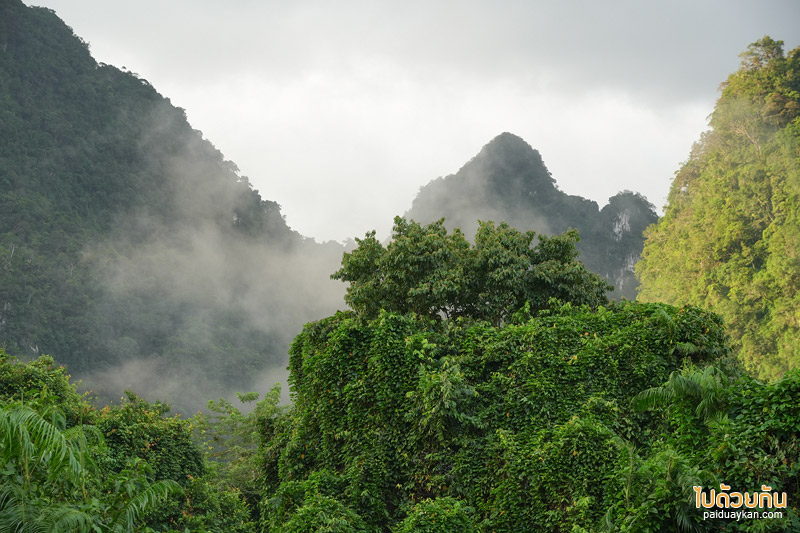 เที่ยวเขาสก, เที่ยวสุราษฎร์, bridge hill café เขาสก, ที่พักเขาสก, คาเฟ่เขาสก, สูดอากาศบริสุทธิ์ มองวิวเขา bridge hill café เขาสก