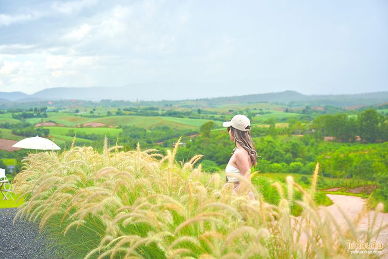 เที่ยวเขาใหญ่, คาเฟ่เขาใหญ่, dong house เขาใหญ่, dong house เขาใหญ่ คาเฟ่สุดมินิมอล บนเนินเขา วิวสวยสุดๆ