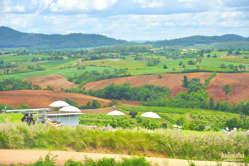 เที่ยวเขาใหญ่, คาเฟ่เขาใหญ่, dong house เขาใหญ่, dong house เขาใหญ่ คาเฟ่สุดมินิมอล บนเนินเขา วิวสวยสุดๆ