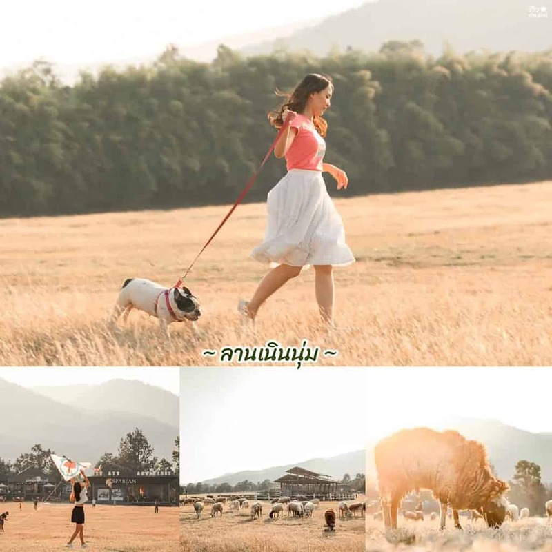 one nimman, ขุนช่างเคี่ยน, ที่เที่ยวเชียงใหม่, ที่เที่ยวเชียงใหม่ธรรมชาติ, ประตูท่าแพ, ม่อนแจ่ม, วัดพระธาตุดอยสุเทพ, 30 พิกัด ที่เที่ยวเชียงใหม่ ยอดฮิต ระดับตำนาน ตามกันมาเที่ยว