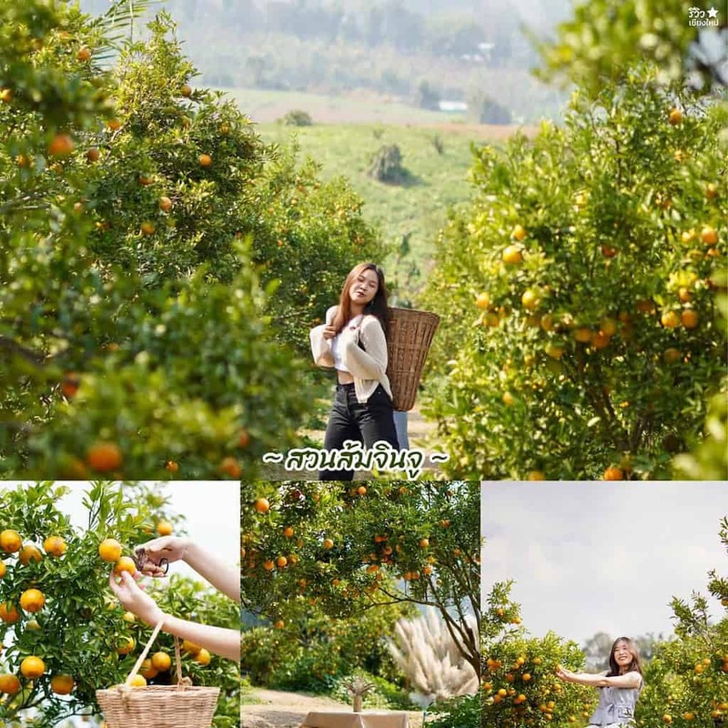 one nimman, ขุนช่างเคี่ยน, ที่เที่ยวเชียงใหม่, ที่เที่ยวเชียงใหม่ธรรมชาติ, ประตูท่าแพ, ม่อนแจ่ม, วัดพระธาตุดอยสุเทพ, 30 พิกัด ที่เที่ยวเชียงใหม่ ยอดฮิต ระดับตำนาน ตามกันมาเที่ยว