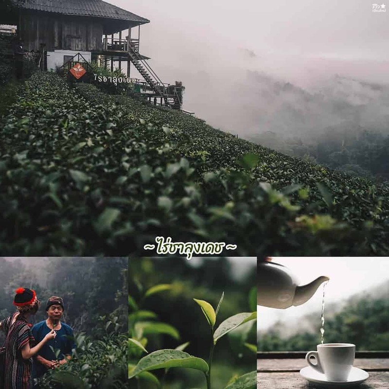 one nimman, ขุนช่างเคี่ยน, ที่เที่ยวเชียงใหม่, ที่เที่ยวเชียงใหม่ธรรมชาติ, ประตูท่าแพ, ม่อนแจ่ม, วัดพระธาตุดอยสุเทพ, 30 พิกัด ที่เที่ยวเชียงใหม่ ยอดฮิต ระดับตำนาน ตามกันมาเที่ยว