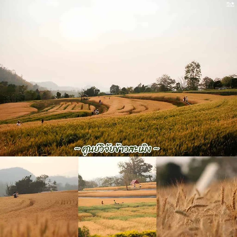 one nimman, ขุนช่างเคี่ยน, ที่เที่ยวเชียงใหม่, ที่เที่ยวเชียงใหม่ธรรมชาติ, ประตูท่าแพ, ม่อนแจ่ม, วัดพระธาตุดอยสุเทพ, 30 พิกัด ที่เที่ยวเชียงใหม่ ยอดฮิต ระดับตำนาน ตามกันมาเที่ยว