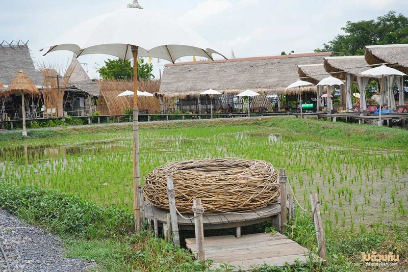 คาเฟ่อยุธยา, ร้านกาแฟอยุธยา, รักษ์นา อยุธยา, นั่งรถไฟจิ๋วอยุธยา ชมวิวทุ่งนา ที่รักษ์นา คาเฟ่