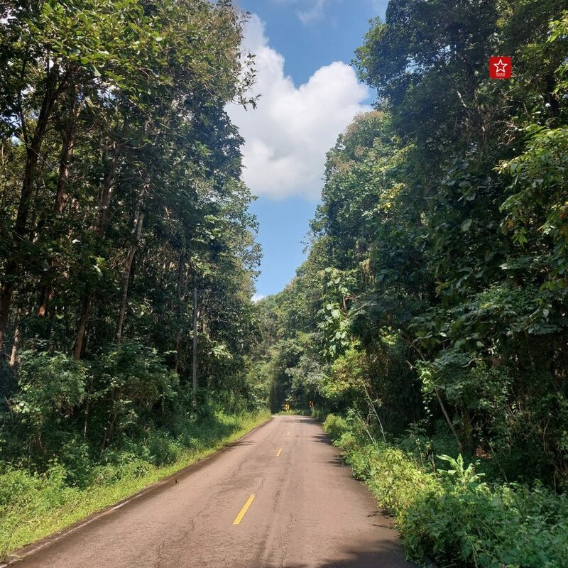 reviewchiangmai, ดอยสะเก็ด, รีวิวเชียงใหม่, สะพานแขวนเชื่อมใจ, เขื่อนแม่กวงอุดมธารา, เที่ยวเชียงใหม่, แอ่วได้แอ่วดี, เที่ยวเชียงใหม่ สะพานแขวนเชื่อมใจ แม่กวง ป่าสักงาม