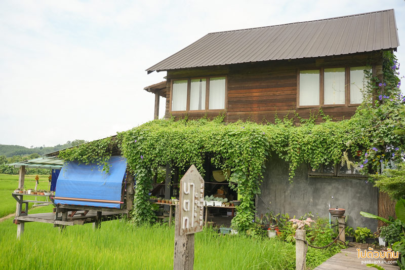 คาเฟ่น่าน, นาตาทา cafe, นาตาทา cafe & farm stay ถ่ายรูปบันไดสวรรค์สุดชิคริมนา 