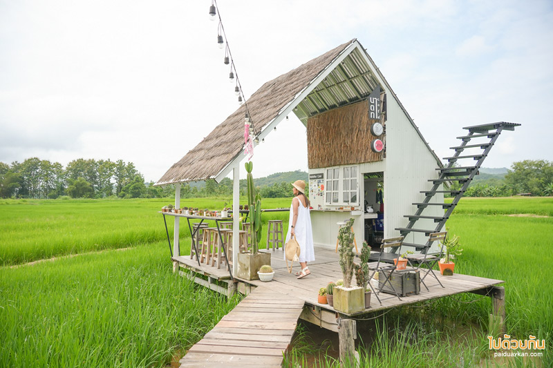 คาเฟ่น่าน, นาตาทา cafe, นาตาทา cafe & farm stay ถ่ายรูปบันไดสวรรค์สุดชิคริมนา 