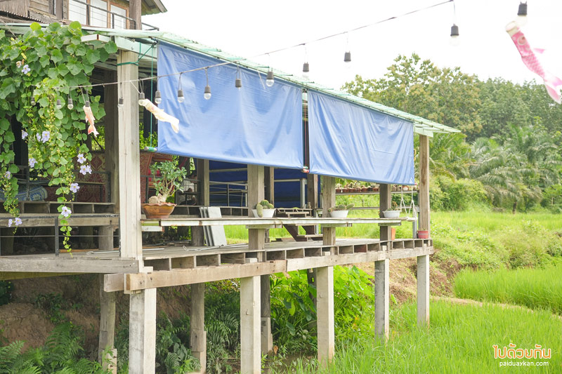 คาเฟ่น่าน, นาตาทา cafe, นาตาทา cafe & farm stay ถ่ายรูปบันไดสวรรค์สุดชิคริมนา 