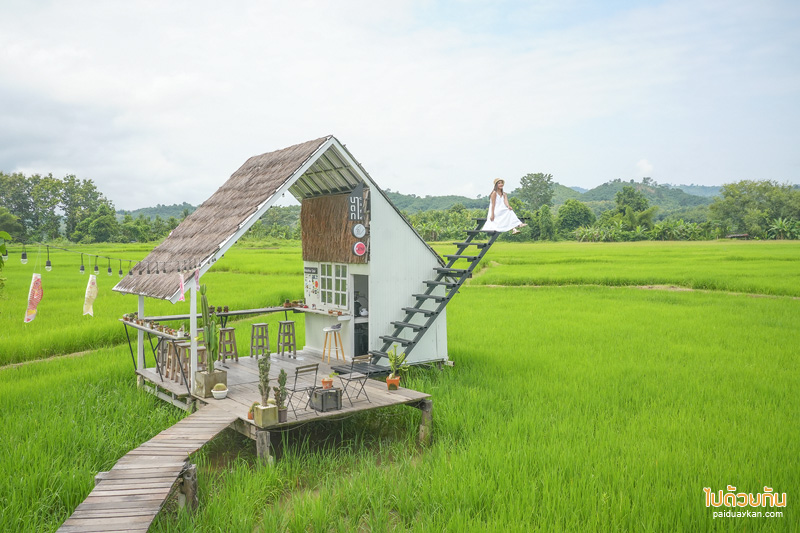 คาเฟ่น่าน, นาตาทา cafe, นาตาทา cafe & farm stay ถ่ายรูปบันไดสวรรค์สุดชิคริมนา 
