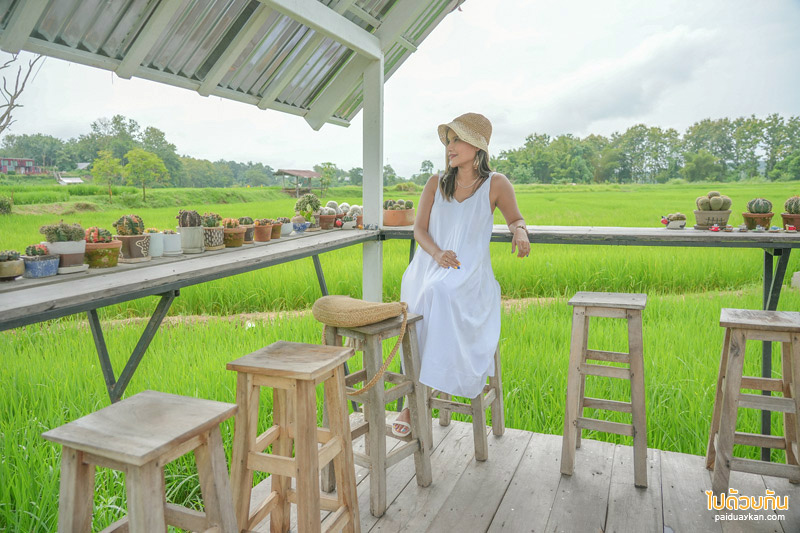 คาเฟ่น่าน, นาตาทา cafe, นาตาทา cafe & farm stay ถ่ายรูปบันไดสวรรค์สุดชิคริมนา 