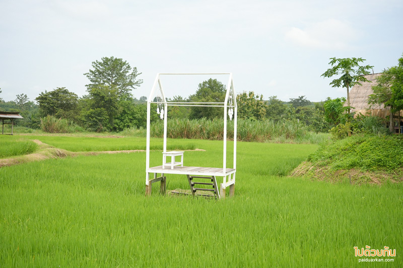 คาเฟ่น่าน, นาตาทา cafe, นาตาทา cafe & farm stay ถ่ายรูปบันไดสวรรค์สุดชิคริมนา 