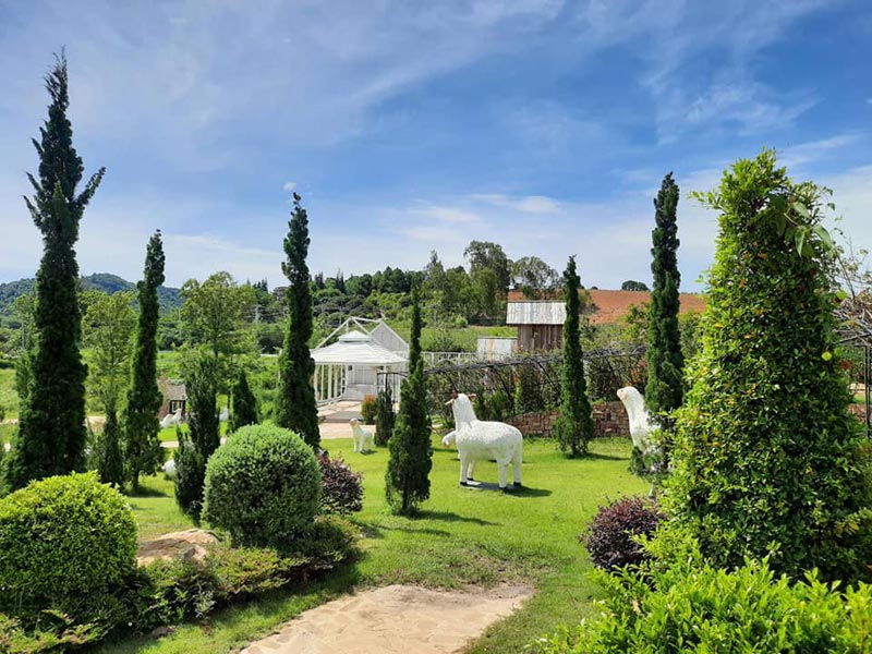 ร้านกาแฟวังน้ำเขียว, คาเฟ่วังน้ำเขียว, top 10+ คาเฟ่วังน้ำเขียว วิวสวย มุมดี  ถูกใจสายคาเฟ่