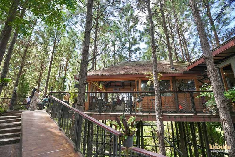 ร้านกาแฟเขาค้อ, เที่ยวเขาค้อ, คาเฟ่เขาค้อ,  ปักหมุด 15 คาเฟ่เขาค้อ ร้านสวย วิวปัง