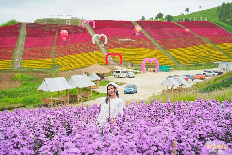 ร้านกาแฟเขาค้อ, เที่ยวเขาค้อ, คาเฟ่เขาค้อ,  ปักหมุด 15 คาเฟ่เขาค้อ ร้านสวย วิวปัง