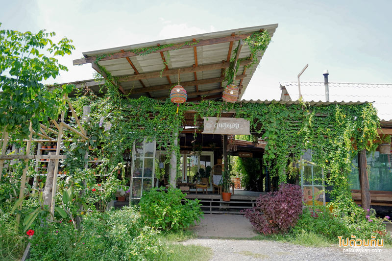 เที่ยวคลองสามวา, ภูดอยคาเฟ่ คลองสามวา, คาเฟ่คลองสามวา, คาเฟ่หทัยราษฎร์, ภูดอยคาเฟ่  ยกบรรยากาศเมืองเหนือมาไว้ชานเมืองกรุง