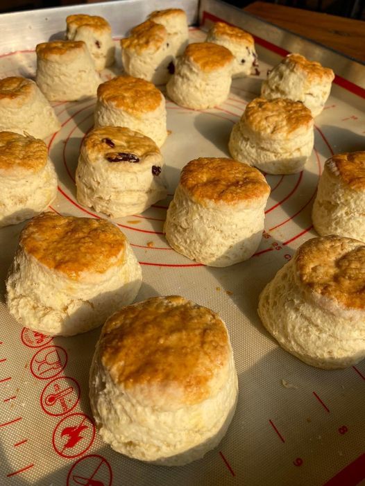 อาหารเช้า : พัทยา รวมร้านอาหารเช้าพัทยา เอาใจคนตื่นเช้า ร้านดัง ร้านเด็ด เพียบ!