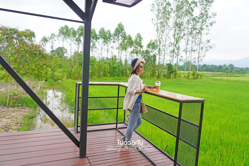 เที่ยวนครนายก, ร้านกาแฟนครนายก, คาเฟ่นครนายก, ภูอิงนาคาเฟ่ นครนายก, ร้านกาแฟทุ่งนา นครนายก, ภูอิงนาคาเฟ่  คาเฟ่ริมทุ่งนา มีภูเขาล้อมรอบ