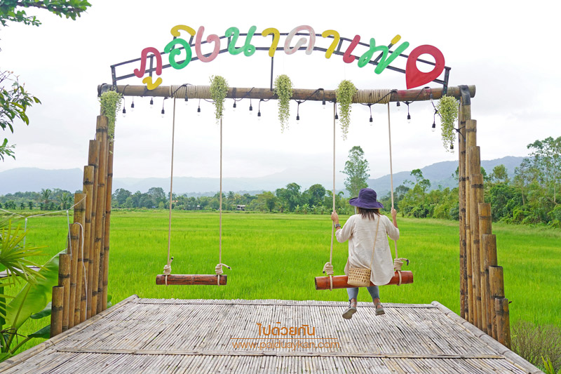 เที่ยวนครนายก, ร้านกาแฟนครนายก, คาเฟ่นครนายก, ภูอิงนาคาเฟ่ นครนายก, ร้านกาแฟทุ่งนา นครนายก, ภูอิงนาคาเฟ่  คาเฟ่ริมทุ่งนา มีภูเขาล้อมรอบ