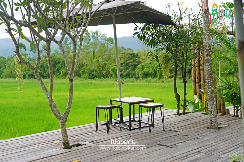 เที่ยวนครนายก, ร้านกาแฟนครนายก, คาเฟ่นครนายก, ภูอิงนาคาเฟ่ นครนายก, ร้านกาแฟทุ่งนา นครนายก, ภูอิงนาคาเฟ่  คาเฟ่ริมทุ่งนา มีภูเขาล้อมรอบ