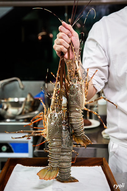 รวมร้านอาหารจีน fine dining เมนูอาหารคุณภาพพรีเมียม พร้อมด้วยบรรยากาศเลิศหรูน่านั่ง!