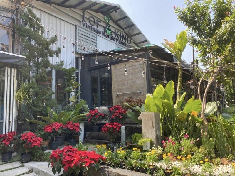 คาเฟ่ในสวน พระราม 9 : คาเฟ่บรรยากาศดี กาแฟอร่อย น่าถ่ายรูป