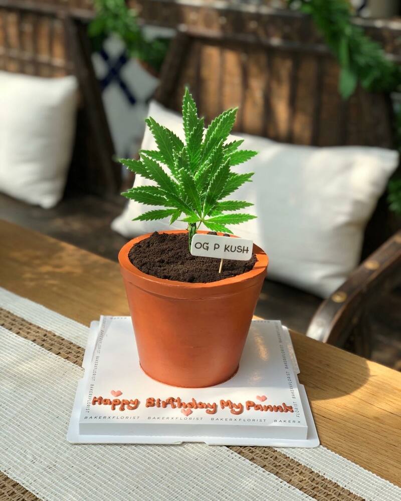 คาเฟ่ในสวน พระราม 9 : คาเฟ่บรรยากาศดี กาแฟอร่อย น่าถ่ายรูป