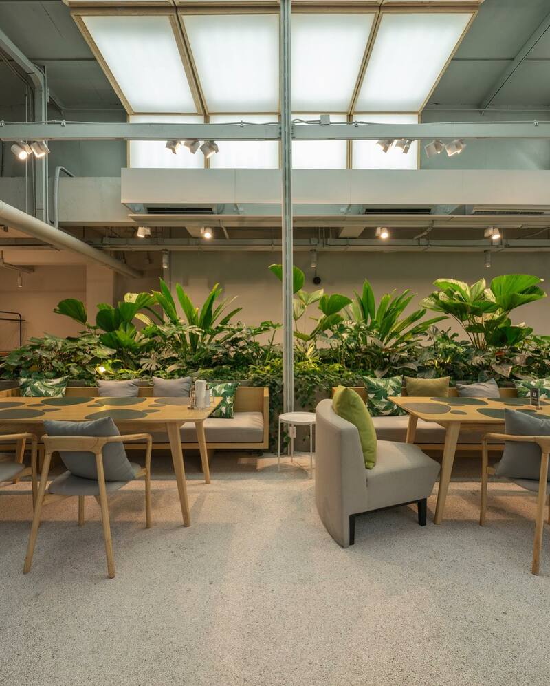 คาเฟ่ในสวน พระราม 9 : คาเฟ่บรรยากาศดี กาแฟอร่อย น่าถ่ายรูป