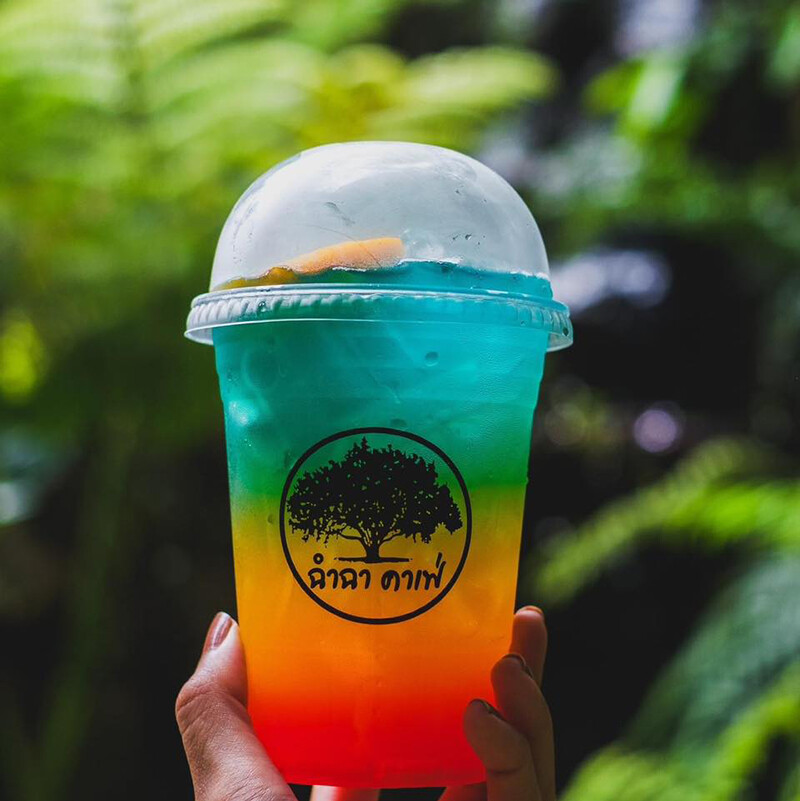 top 10+ คาเฟ่พิจิตร 2567 คาเฟ่สวย ร้านกาแฟเปิดใหม่