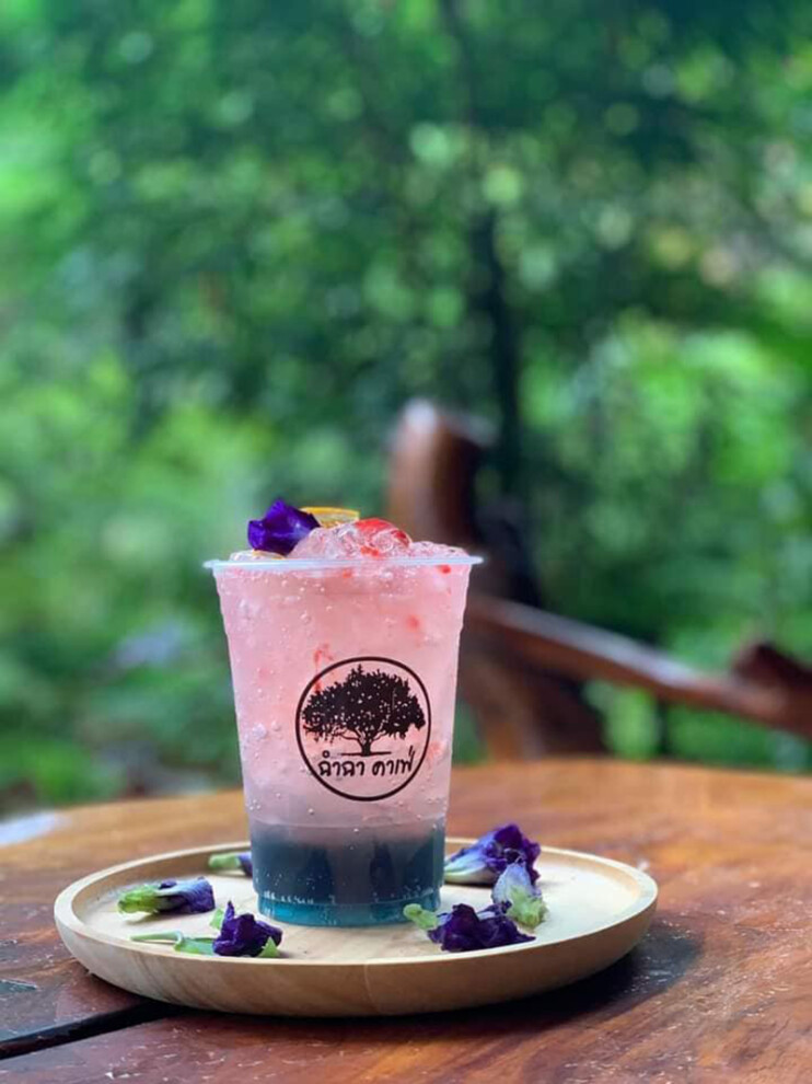 top 10+ คาเฟ่พิจิตร 2567 คาเฟ่สวย ร้านกาแฟเปิดใหม่