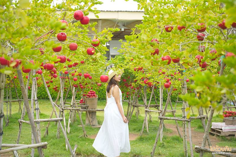 เที่ยวพัทยา, คาเฟ่พัทยา, ร้านกาแฟพัทยา, พัทยา, top 30+ คาเฟ่พัทยา สุดคูล เอาใจสายถ่ายภาพ