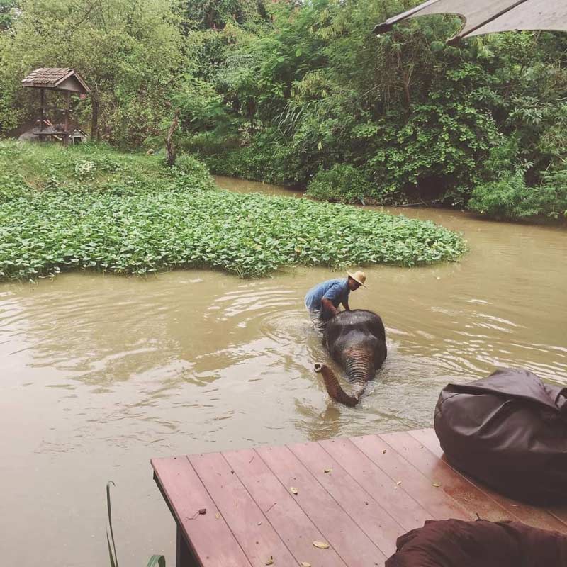 เที่ยวพัทยา, คาเฟ่พัทยา, ร้านกาแฟพัทยา, พัทยา, top 30+ คาเฟ่พัทยา สุดคูล เอาใจสายถ่ายภาพ